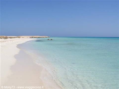 Sharm El Luli