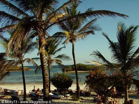 sea view from the resort