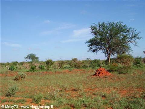 Tsavo East