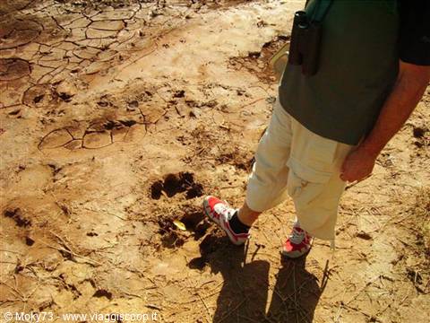 Footprint...