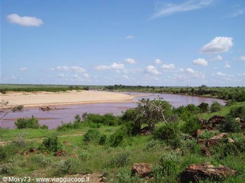 Brown river winding between sandy banks and green bushes under cloudy sky