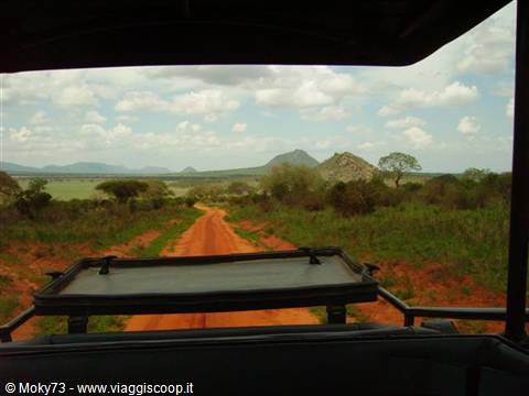 Red dirt road through the savanna seen from the open safari jeep roof