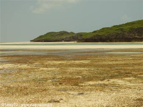 Island of Love