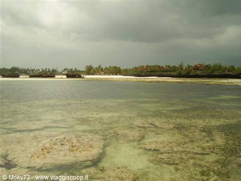 Island of Love