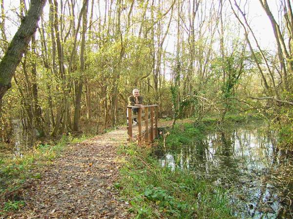 Man leaning on a wooden footbridge in a flooded woodland