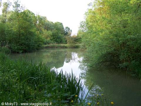 Punte Alberete in April