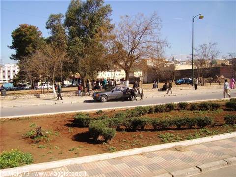 Urban road with pedestrians, bare trees and flowerbeds, Meknès