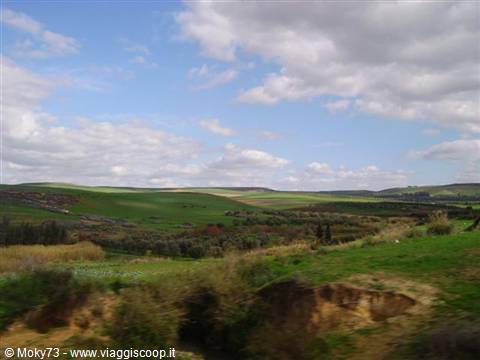 Green rolling farmland under white clouds, countryside along the road