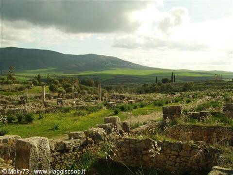 Roman ruins of Volubilis among green fields and hills, stone columns and walls