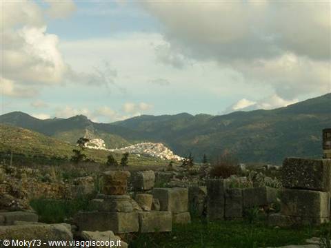 Roman ruins of Volubilis, stone columns, with Moulay Idriss in the hills