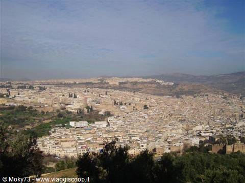 Fes: whitewashed medina houses under a blue sky, hills beyond