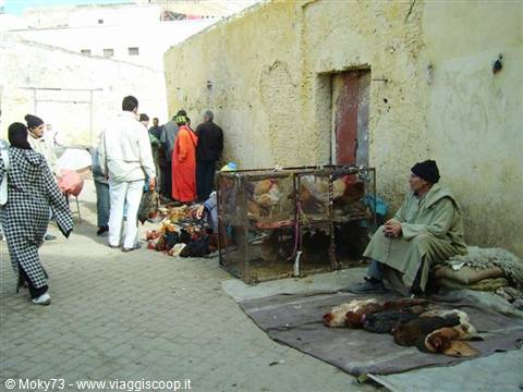 Medina souk: seated vendor beside cages and live chickens