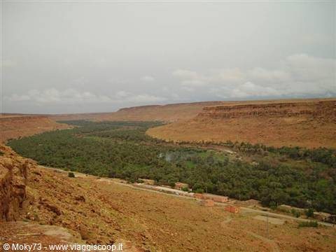 Palm oasis between red rocky cliffs, village and cloudy sky