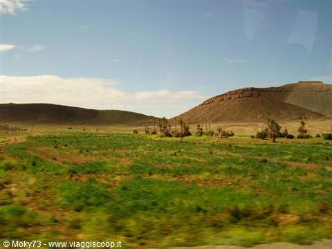 Green oasis with palms and fields beneath arid hills