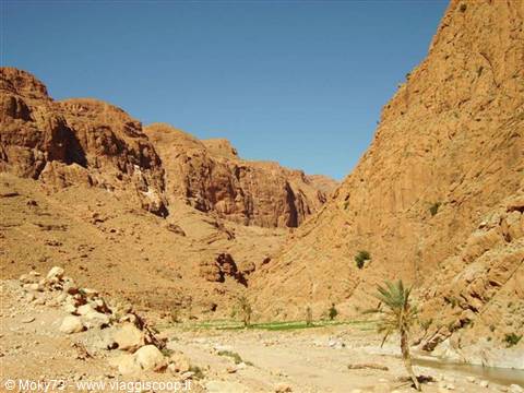 Todra Gorge: ochre rock walls, palm trees and stream on the valley floor