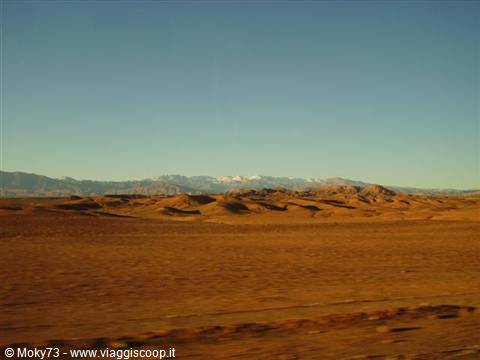 Golden rocky desert with snow-capped mountains on the horizon under blue sky