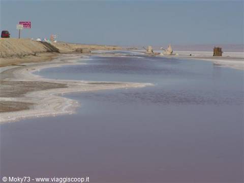 Pink water and salt crusts at Chott el Djerid under a blue sky