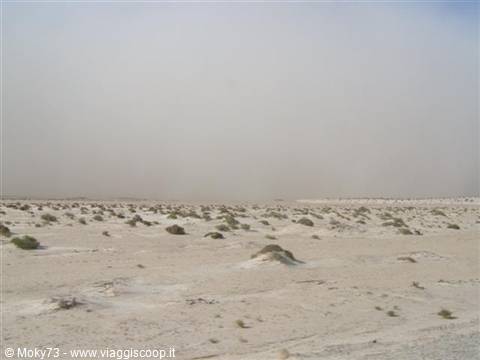 Sandstorm over white desert scattered with dry shrubs