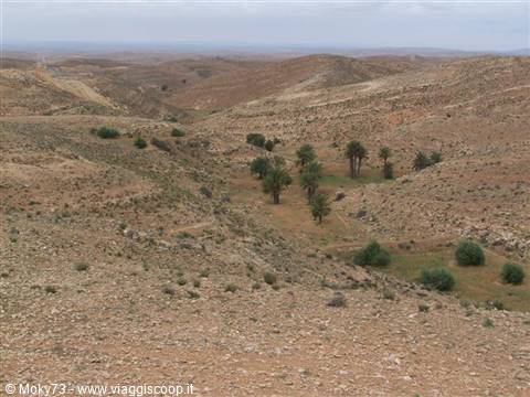 Arid hills with scattered palm trees in the valley, cloudy diffuse light