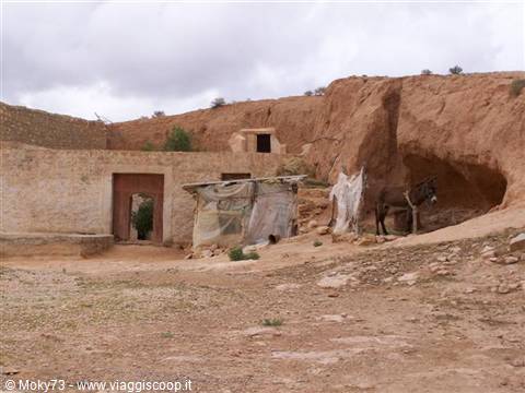 Donkey beside cave dwellings carved into red earth at Matmata