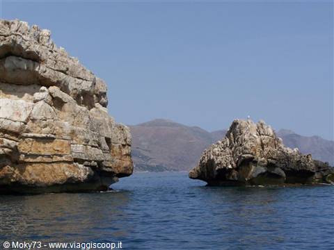 Limestone sea stacks and a gull on Malta's blue water