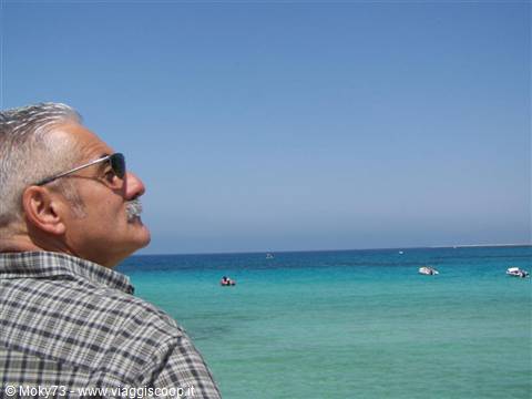 Man in sunglasses and plaid shirt gazing at turquoise sea with small boats