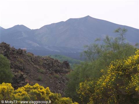 Excursion on Etna