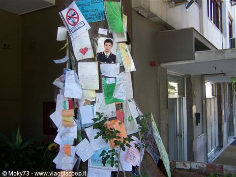 Falcone's tree