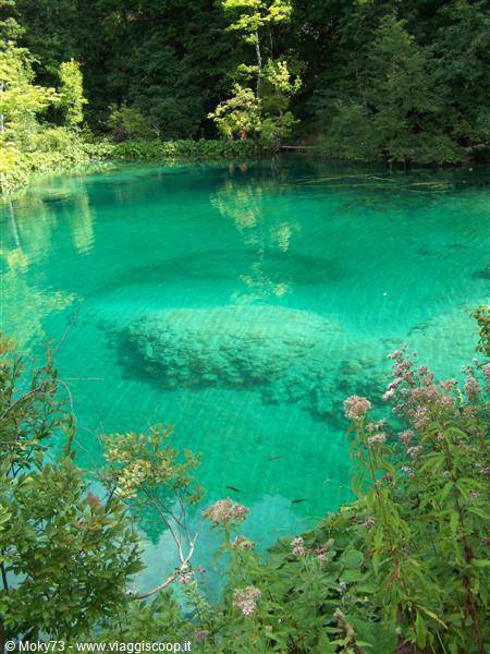 Turquoise transparent lake surrounded by forest, rocky bottom visible