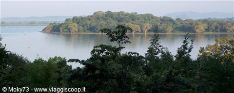Kandalama lake: an island covered in dark green trees mirrors on calm water