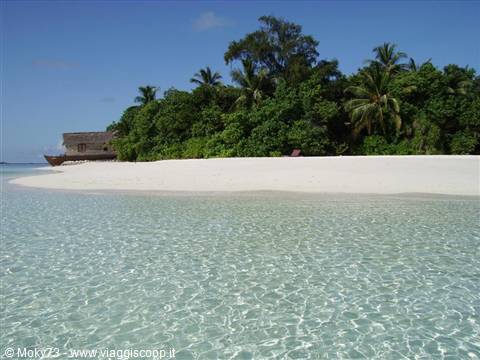 White sand beach with palm trees and clear turquoise water, Maldives