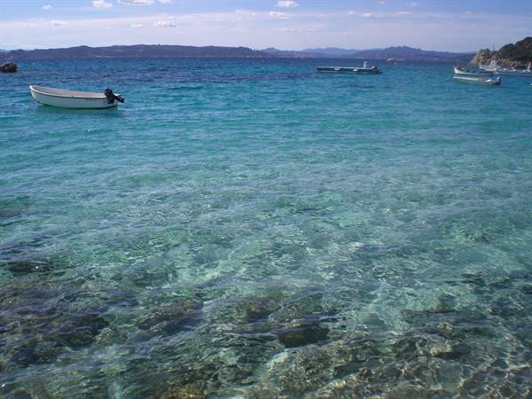 White boats anchored over clear turquoise water, rocks visible on the seabed
