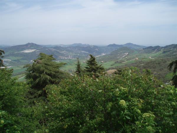 Green rolling hills under a cloudy sky, bushes and conifers in the foreground