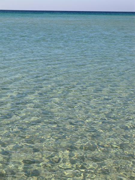 Clear seawater over rocky seabed, sunlight reflections toward the horizon