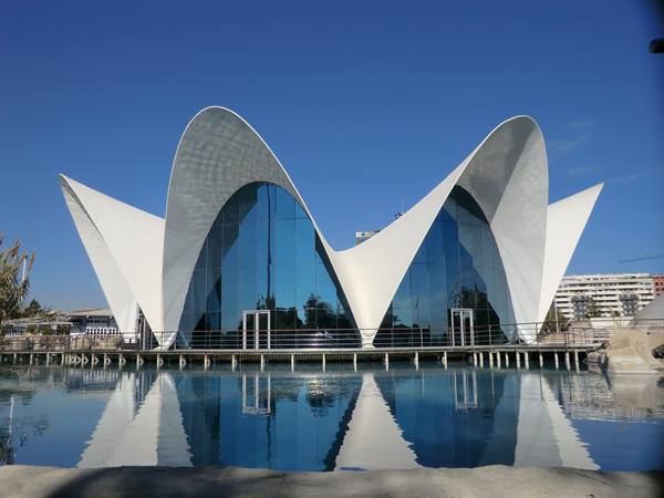Calatrava's white concrete arches reflected in the water at Valencia's Oceanogràfic