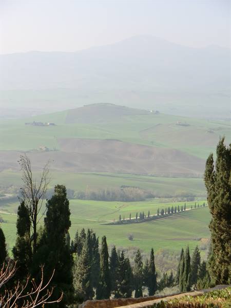 Green rolling hills with cypress rows fading into morning haze, Tuscany