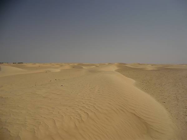 Sahara