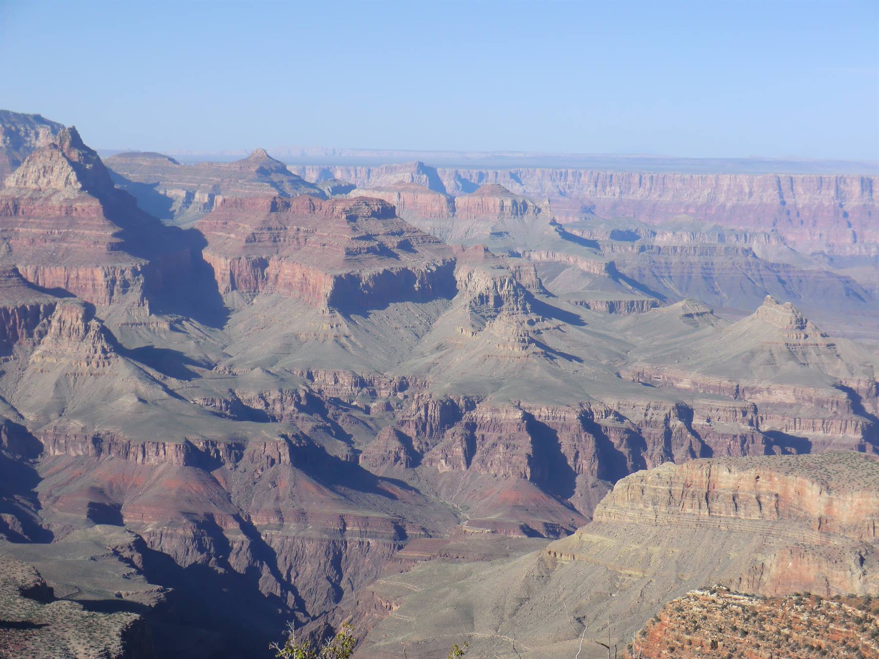 Rocce rosse del Grand Canyon sotto cielo azzurro, luce diurna