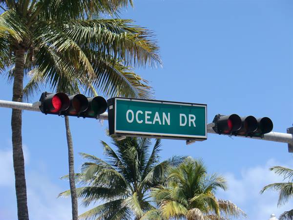 Green Ocean Drive street sign among red traffic lights and palm trees