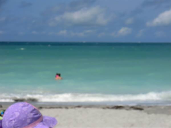 gulf of Mexico