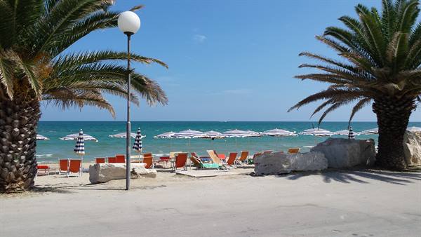 Palm Riviera