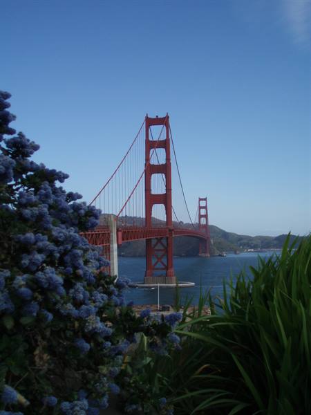 Frisco