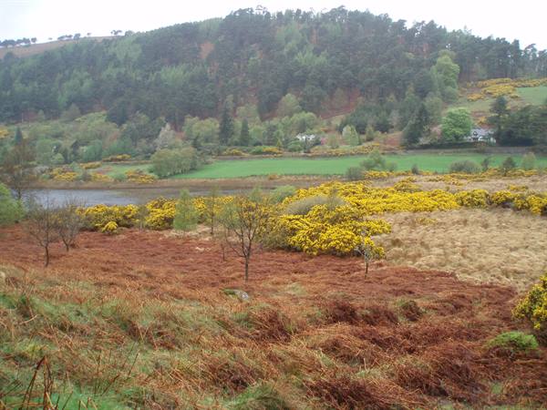 Glendalough