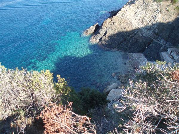 Rocky cliffs with Mediterranean shrubs above a clear turquoise cove
