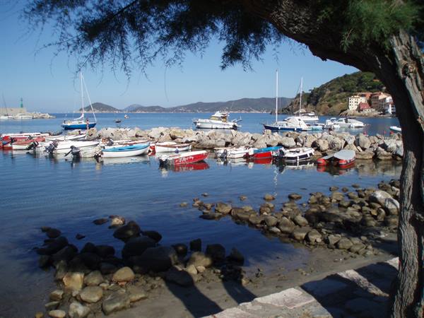 Colorful boats moored among rocks under a pine tree, hills and houses behind