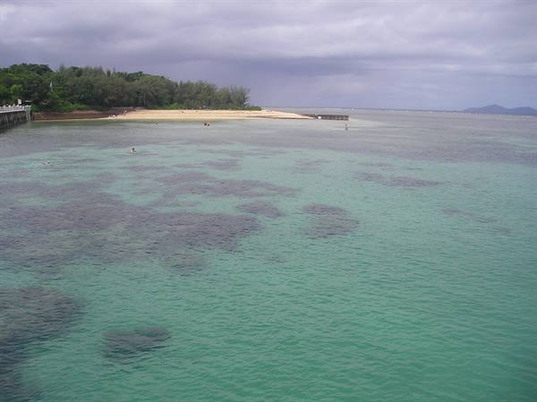 Turquoise water with submerged coral reefs in front of Green Island beach