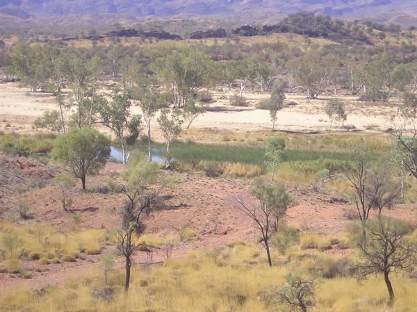River near Alice Springs, still water between sand, eucalyptus and red soil