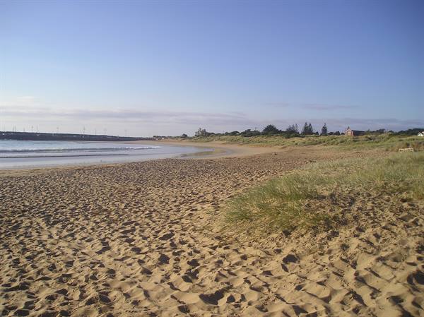 Wind-swept sand, grassy dunes and waves on the beach