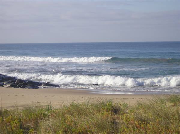 Ocean waves breaking on the sandy beach, dune grass in the foreground