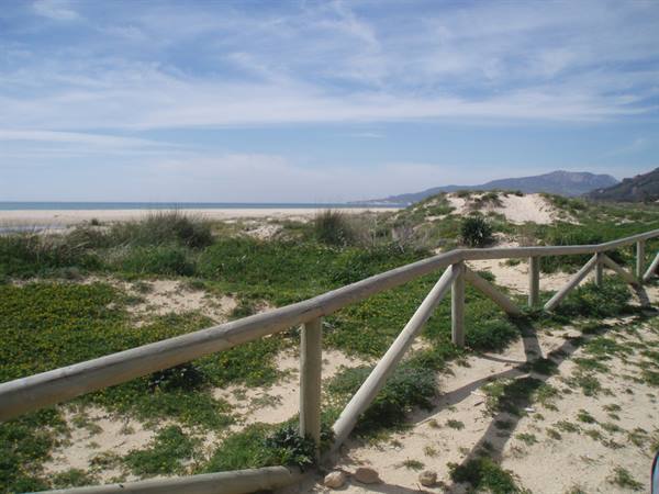Wooden railing among sandy dunes and vegetation, beach and hills beyond